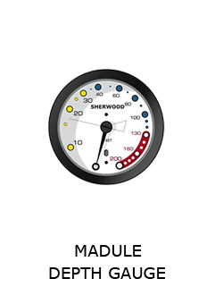 SHERWOOD DEPTH GAUGE MADULE