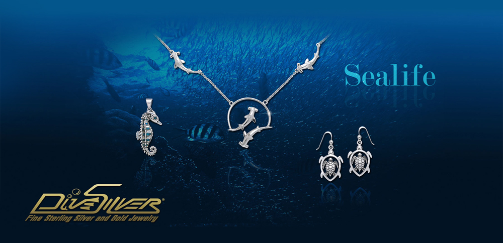 DIVESILVER-SLIDESHOW-DIVEPERSIA3